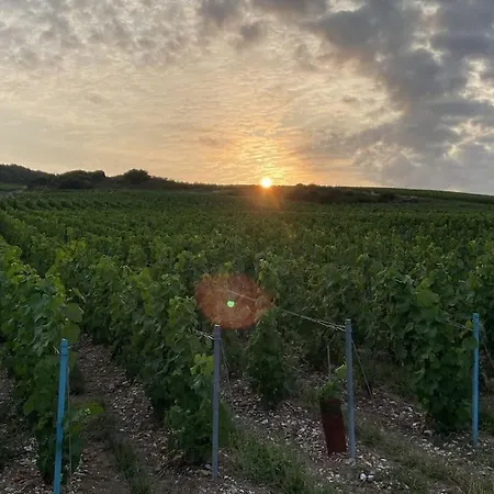 公寓 L Antre Deux Vignes Saulchery